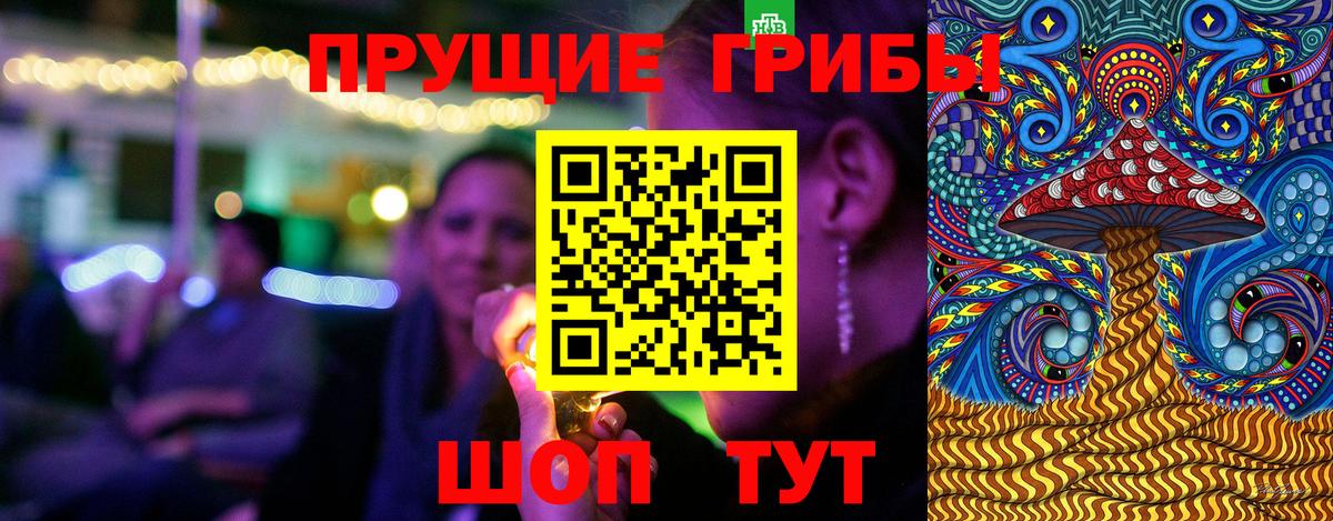 Галлюциногенные грибы Psilocybe  как найти   Барабинск  Вход с VPN 