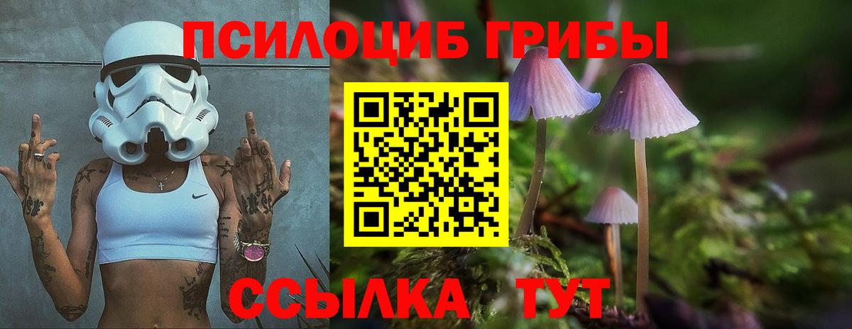 Псилоцибиновые грибы Psilocybine cubensis Барабинск